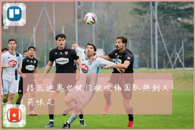 格瓦迪奥尔破门被吹韩国队热刺火药味足