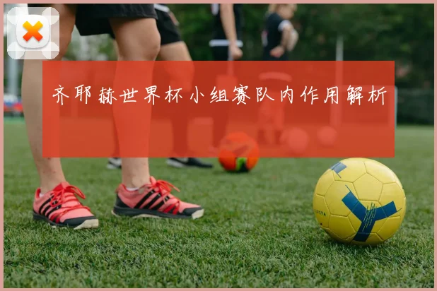 齐耶赫世界杯小组赛队内作用解析