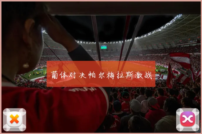 开云Kaiyun综合体育app官方下载 - 葡体对决帕尔梅拉斯激战