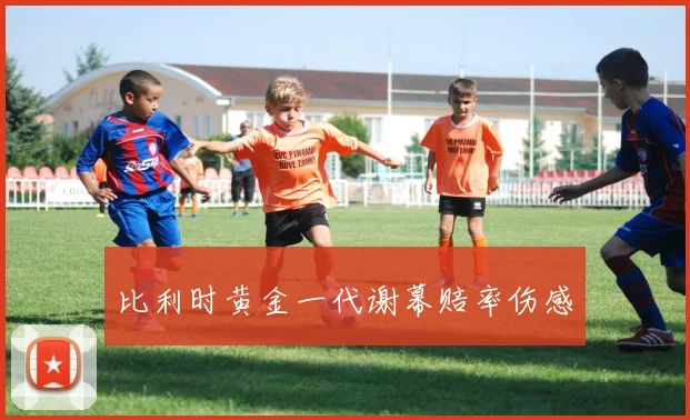 开云Kaiyun综合体育app官方下载 - 比利时黄金一代谢幕赔率伤感
