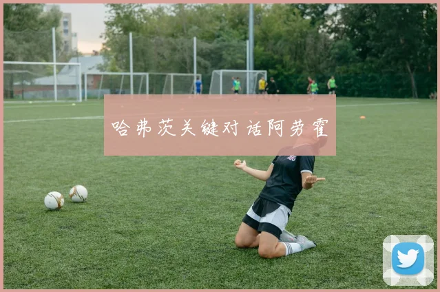 开云Kaiyun综合体育app官方下载 - 哈弗茨关键对话阿劳霍