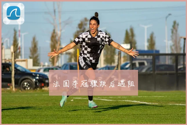 开云Kaiyun综合体育app官方下载 - 法国夺冠骤跌后遇阻