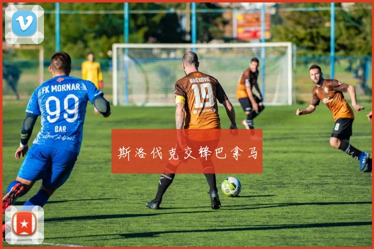 开云Kaiyun综合体育app官方下载 - 斯洛伐克交锋巴拿马