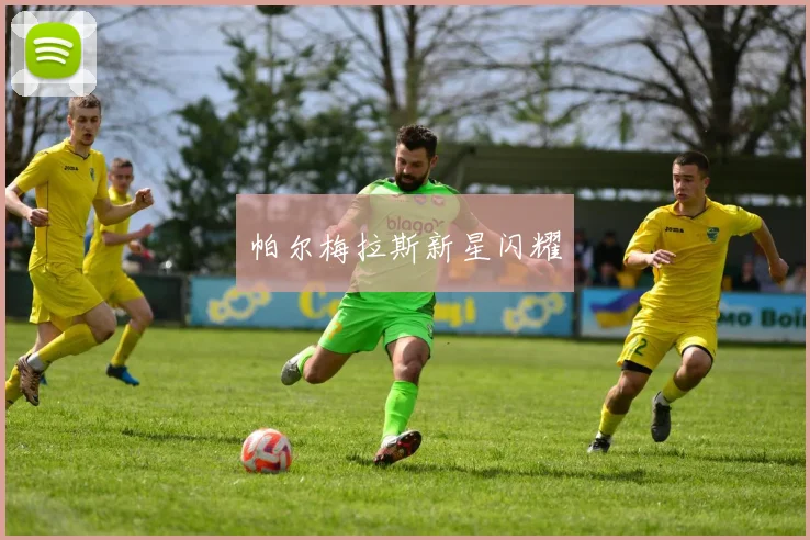 开云Kaiyun综合体育app官方下载 - 帕尔梅拉斯新星闪耀