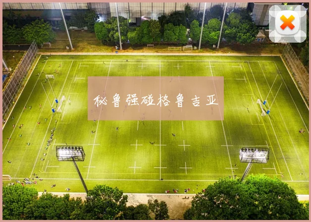 开云Kaiyun综合体育app官方下载 - 秘鲁强碰格鲁吉亚