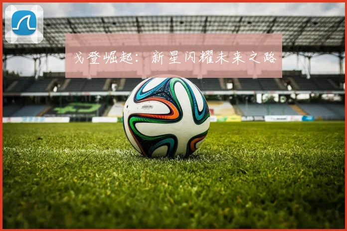 开云Kaiyun综合体育app官方下载 - 戈登崛起：新星闪耀未来之路