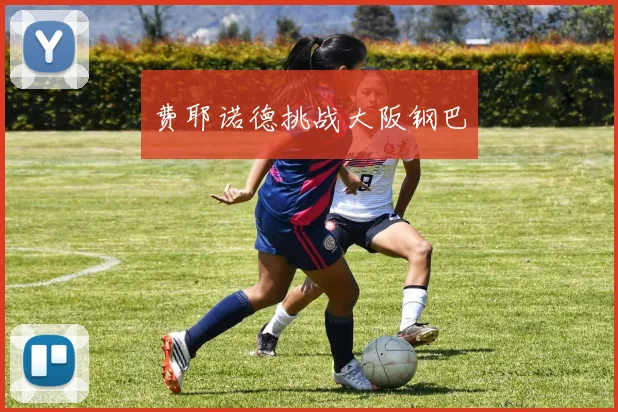 开云Kaiyun综合体育app官方下载 - 费耶诺德挑战大阪钢巴