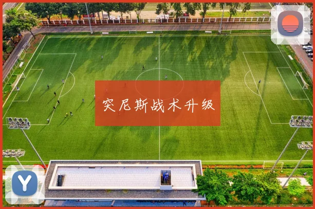 开云Kaiyun综合体育app官方下载 - 突尼斯战术升级