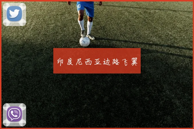开云Kaiyun综合体育app官方下载 - 印度尼西亚边路飞翼
