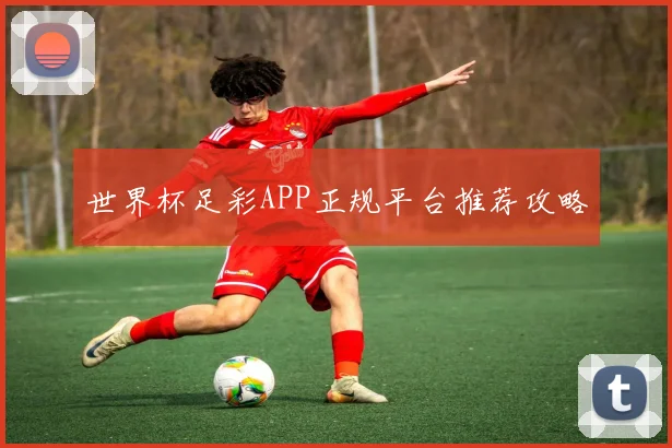 开云Kaiyun综合体育app官方下载 - 世界杯足彩APP正规平台推荐攻略