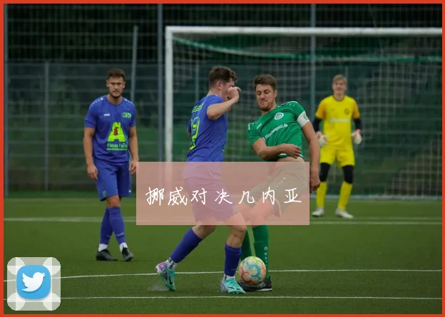 开云Kaiyun综合体育app官方下载 - 挪威对决几内亚