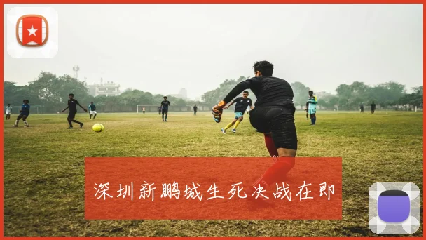 开云Kaiyun综合体育app官方下载 - 深圳新鹏城生死决战在即