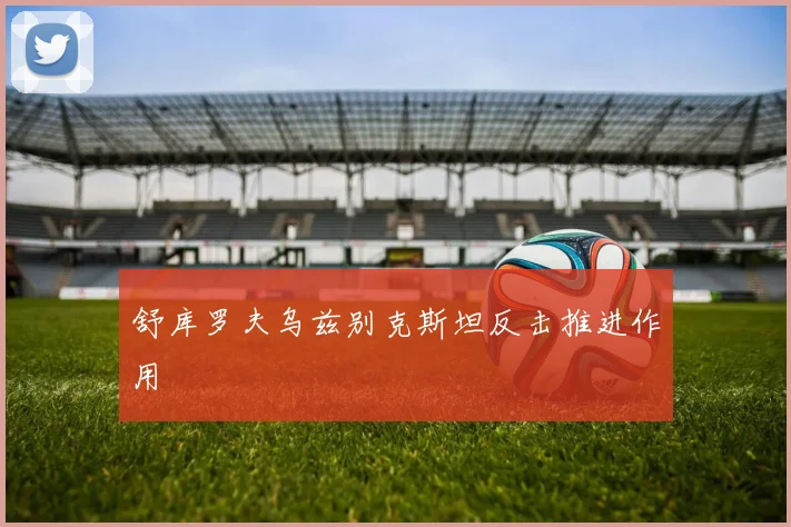 舒库罗夫乌兹别克斯坦反击推进作用