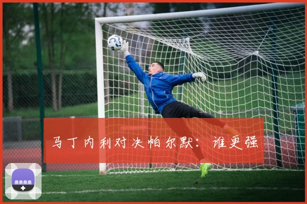 开云Kaiyun综合体育app官方下载 - 马丁内利对决帕尔默：谁更强