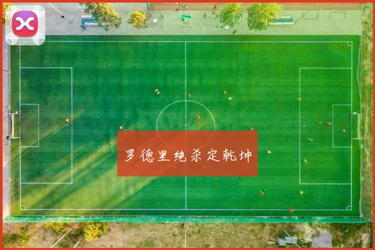 开云Kaiyun综合体育app官方下载 - 罗德里绝杀定乾坤