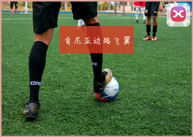 开云Kaiyun综合体育app官方下载 - 肯尼亚边路飞翼