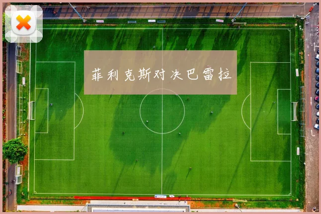 开云Kaiyun综合体育app官方下载 - 菲利克斯对决巴雷拉