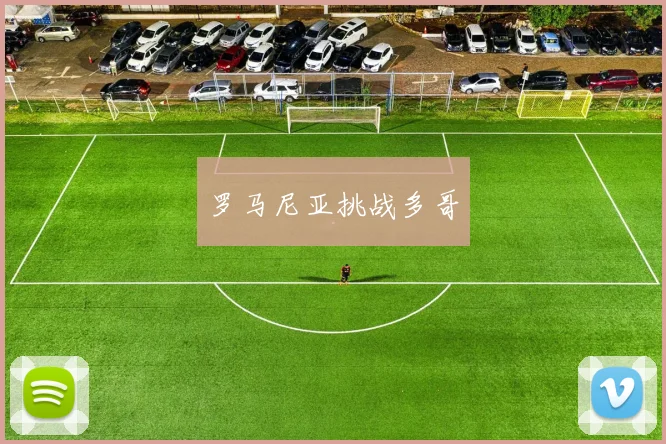 开云Kaiyun综合体育app官方下载 - 罗马尼亚挑战多哥