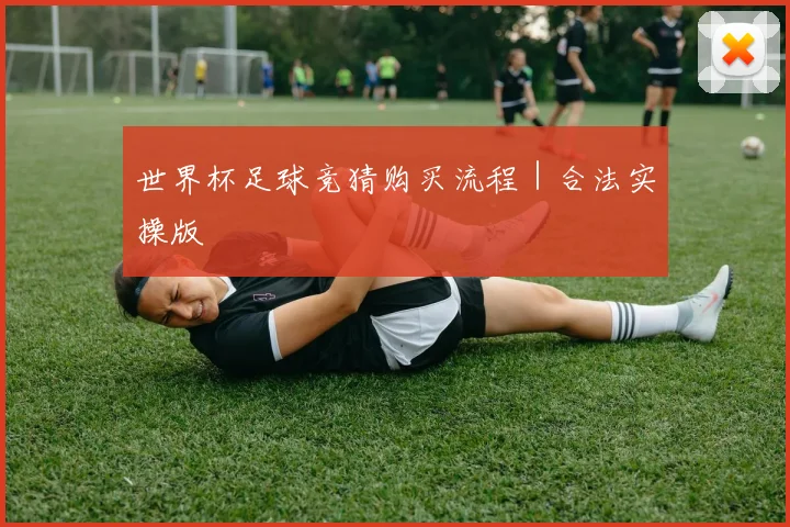 开云Kaiyun综合体育app官方下载 - 世界杯足球竞猜购买流程｜合法实操版