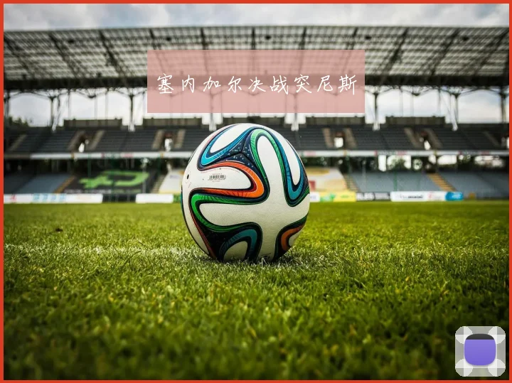 开云Kaiyun综合体育app官方下载 - 塞内加尔决战突尼斯