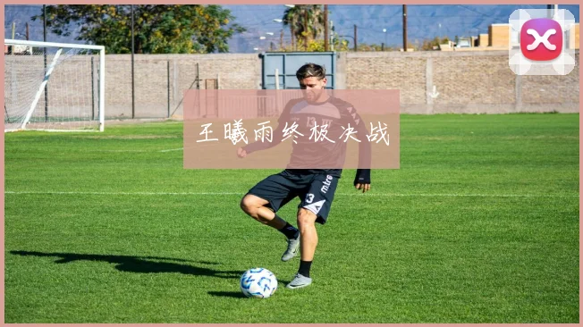 开云Kaiyun综合体育app官方下载 - 王曦雨终极决战