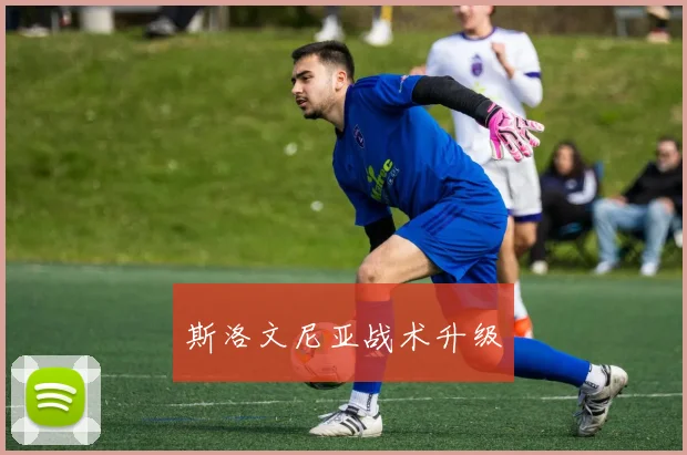 开云Kaiyun综合体育app官方下载 - 斯洛文尼亚战术升级