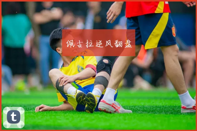 开云Kaiyun综合体育app官方下载 - 佩古拉逆风翻盘