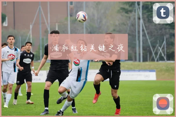 开云Kaiyun综合体育app官方下载 - 浦和红钻关键之夜