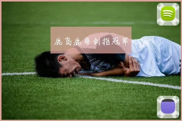 开云Kaiyun综合体育app官方下载 - 鹿岛鹿角剑指冠军
