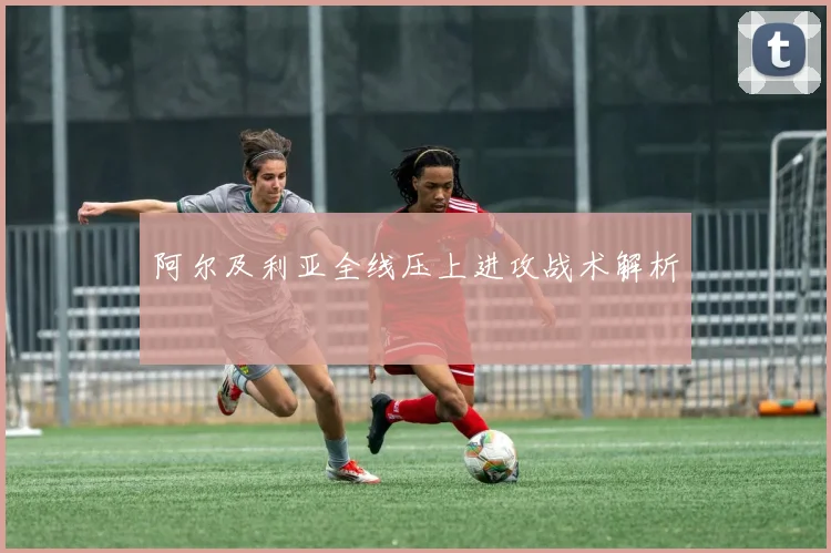 开云Kaiyun综合体育app官方下载 - 阿尔及利亚全线压上进攻战术解析