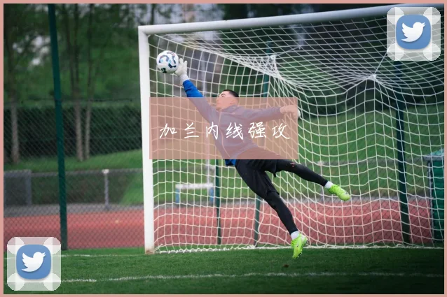开云Kaiyun综合体育app官方下载 - 加兰内线强攻