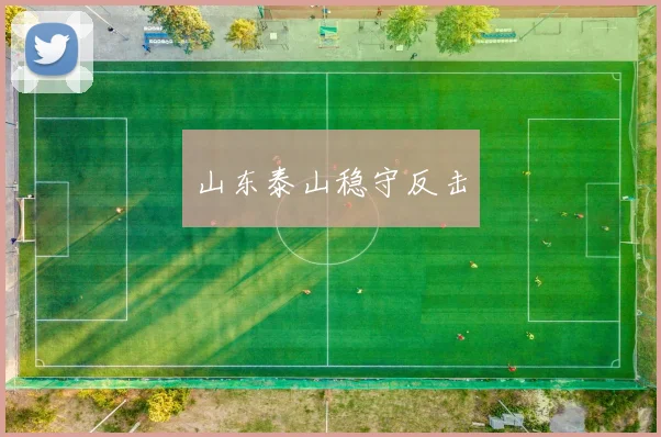 开云Kaiyun综合体育app官方下载 - 山东泰山稳守反击