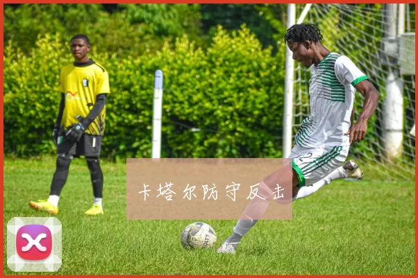 开云Kaiyun综合体育app官方下载 - 卡塔尔防守反击