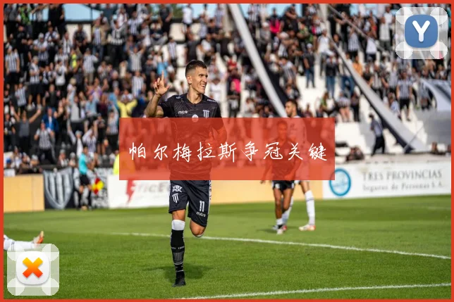 开云Kaiyun综合体育app官方下载 - 帕尔梅拉斯争冠关键