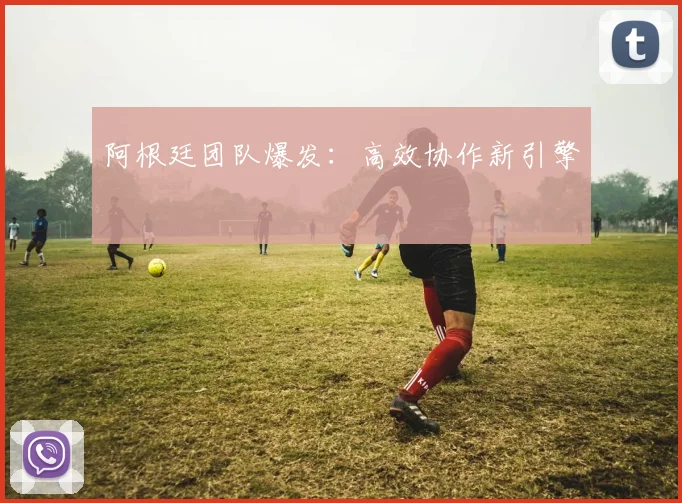 开云Kaiyun综合体育app官方下载 - 阿根廷团队爆发：高效协作新引擎