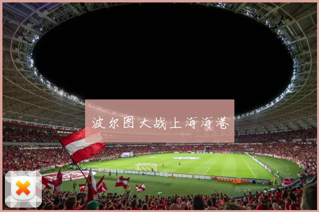 开云Kaiyun综合体育app官方下载 - 波尔图大战上海海港