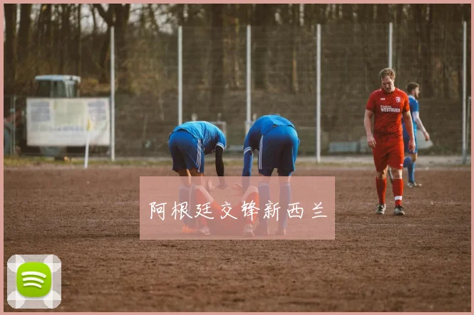 开云Kaiyun综合体育app官方下载 - 阿根廷交锋新西兰