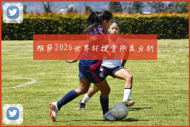 维萨2026世界杯搜索热度分析