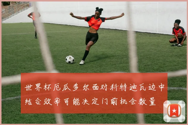 世界杯厄瓜多尔面对科特迪瓦边中结合效率可能决定门前机会数量