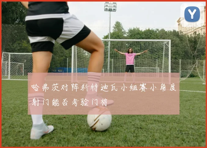 哈弗茨对阵科特迪瓦小组赛小角度射门能否考验门将