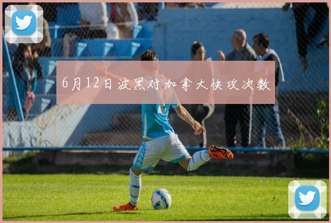 6月12日波黑对加拿大快攻次数