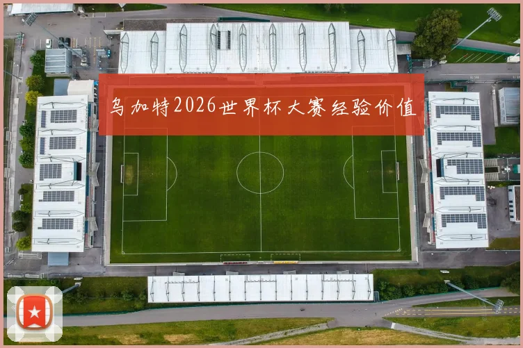 乌加特2026世界杯大赛经验价值