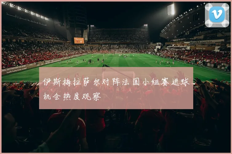 伊斯梅拉萨尔对阵法国小组赛进球机会热度观察
