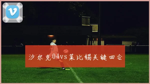 沙尔克04vs莱比锡关键回合