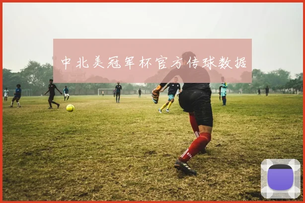 中北美冠军杯官方传球数据