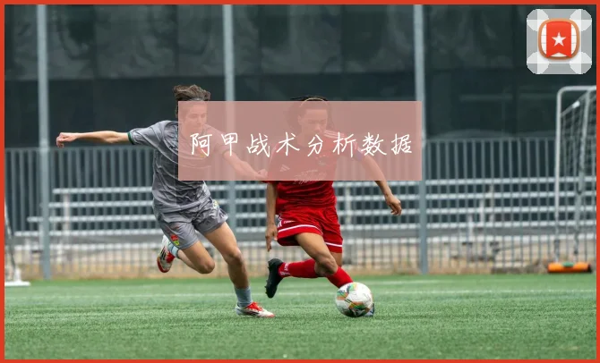 阿甲战术分析数据